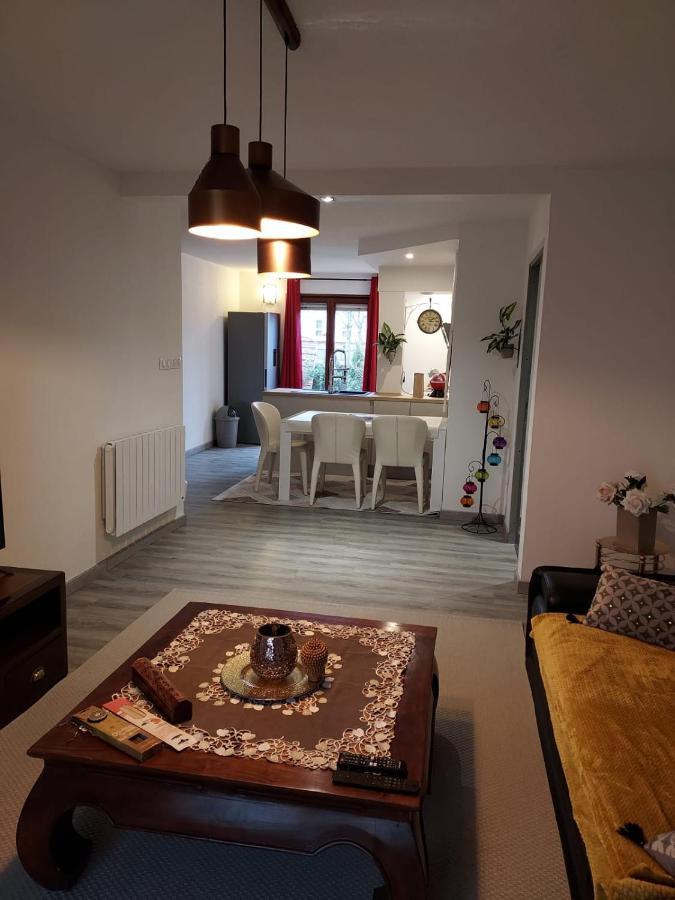 Residence Du Vieux Chateau Jardin & Parking Gratuit 뮐루즈 외부 사진