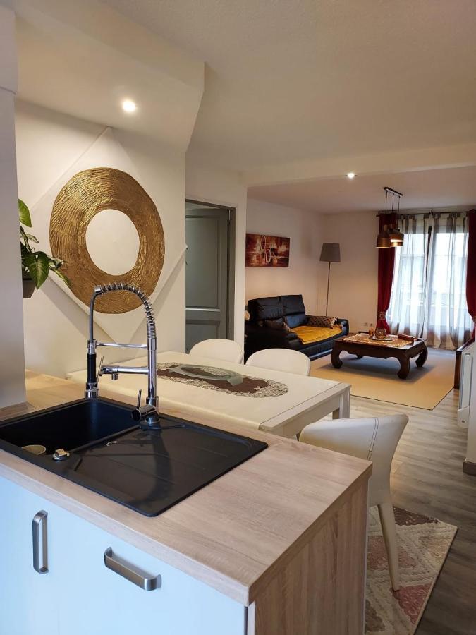 Residence Du Vieux Chateau Jardin & Parking Gratuit 뮐루즈 외부 사진