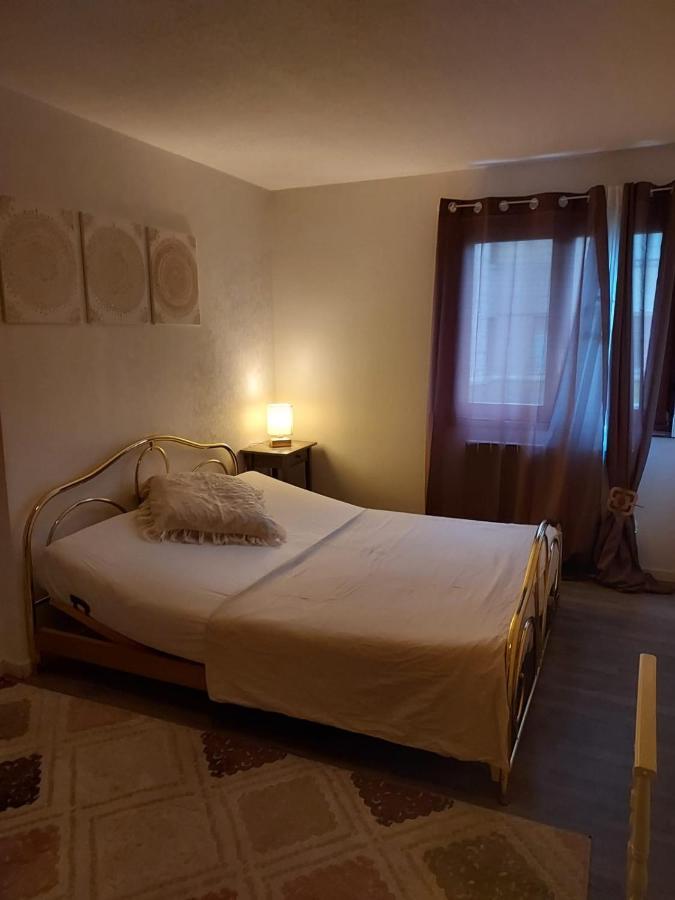 Residence Du Vieux Chateau Jardin & Parking Gratuit 뮐루즈 외부 사진